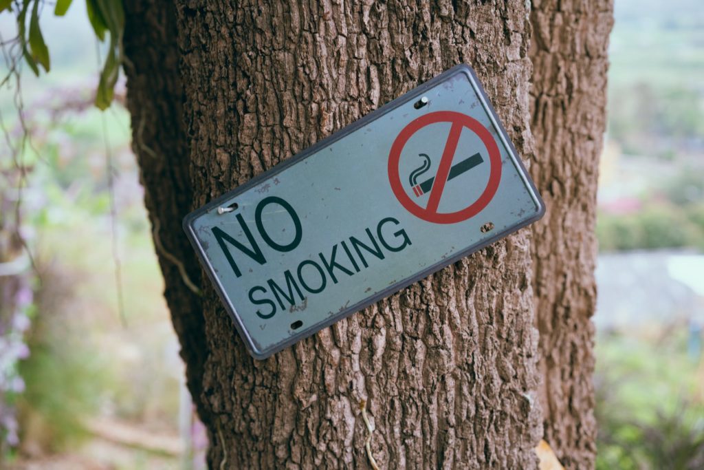 a no smoking signage on a tree