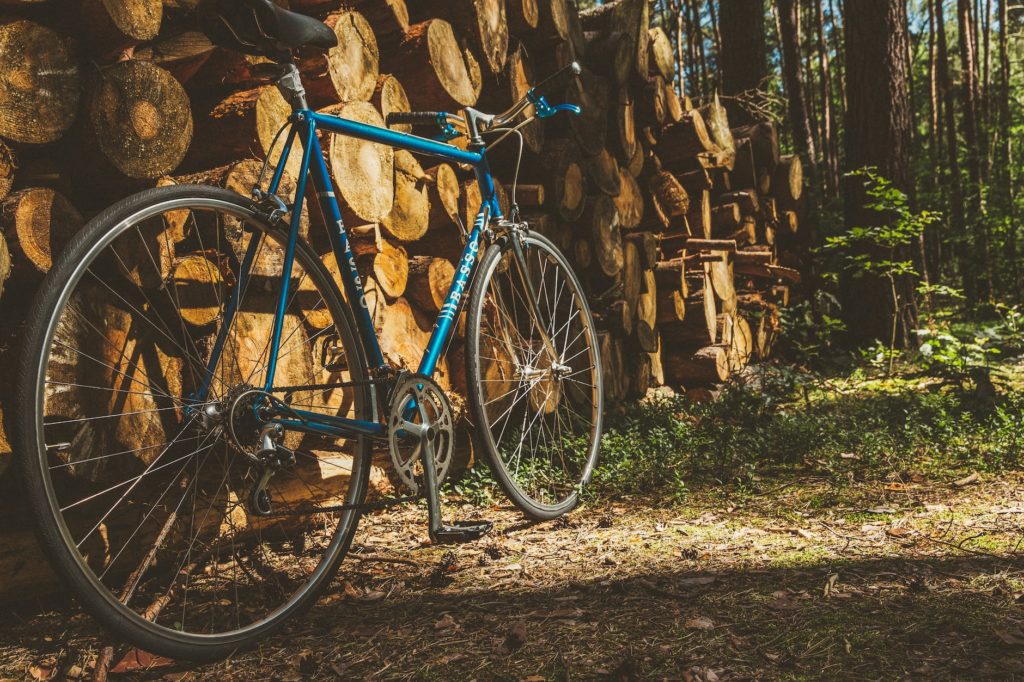 wood road trees vehicle