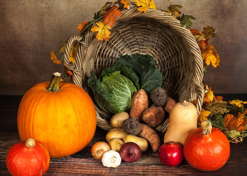 agriculture basket close up colorful