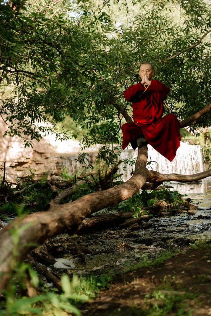 man in red dress shirt sitting on tree log