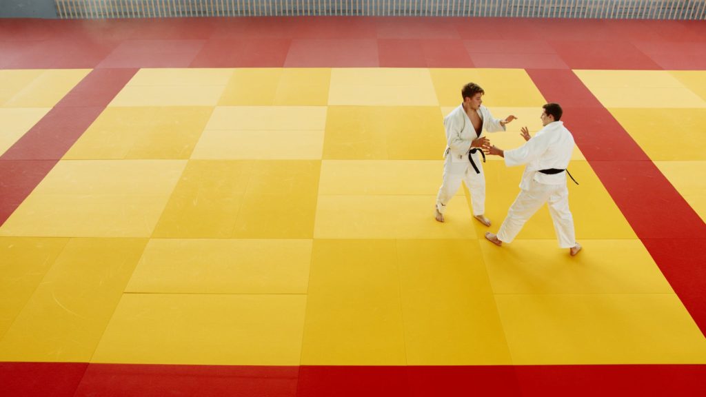 martial artists practicing aikido