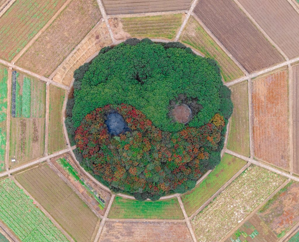 drone shot of a round ying yang garden in the centre of croplands